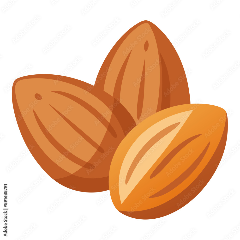 Obraz premium illustration of an almond Illustration SVG