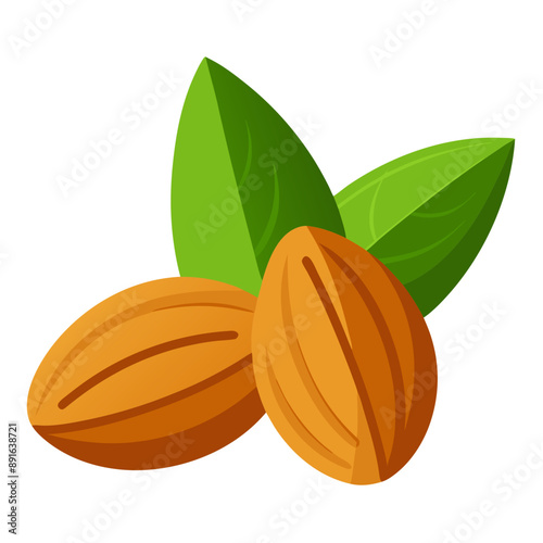 illustration of an almond  Illustration SVG