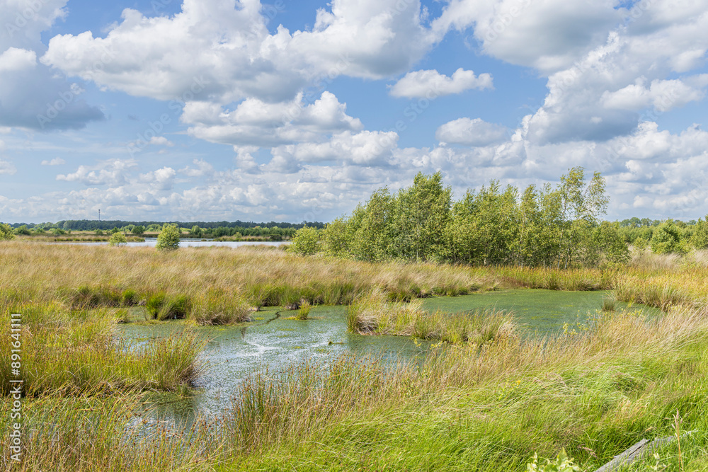 Landscape of nature park Fochteloerveen near Veenhuizen The Netherlands. One of the few areas in the Netherlands where living raised bogs still occur. Landscape of nature park Fochteloerveen near Veenhuizen The Netherlands. One of the few areas in the Netherlands where living raised bogs still occur.