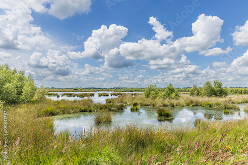 Landscape of nature park Fochteloerveen near Veenhuizen The Netherlands. One of the few areas in the Netherlands where living raised bogs still occur.