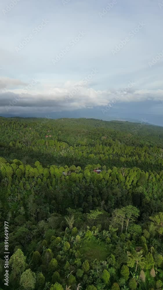 Aerial video over the landscapes in Northern Bali Indonesia Aerial video over the landscapes in Northern Bali Indonesia