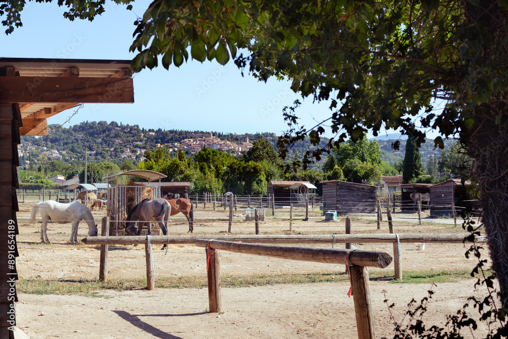 Riding club in Provence with a typical perched village in the background in southern France Riding club in Provence with a typical perched village in the background in southern France