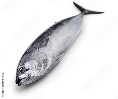 bullet tuna(auxis rochei) isolated on white background photo