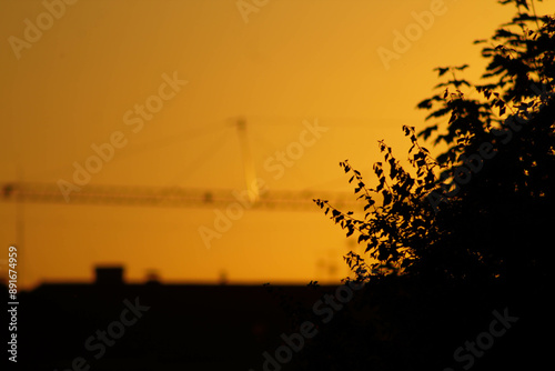 sunset over the city