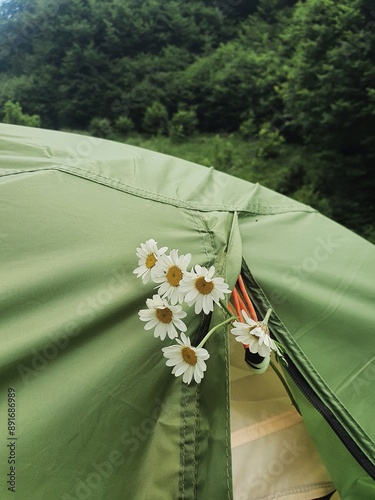 tent in the forest