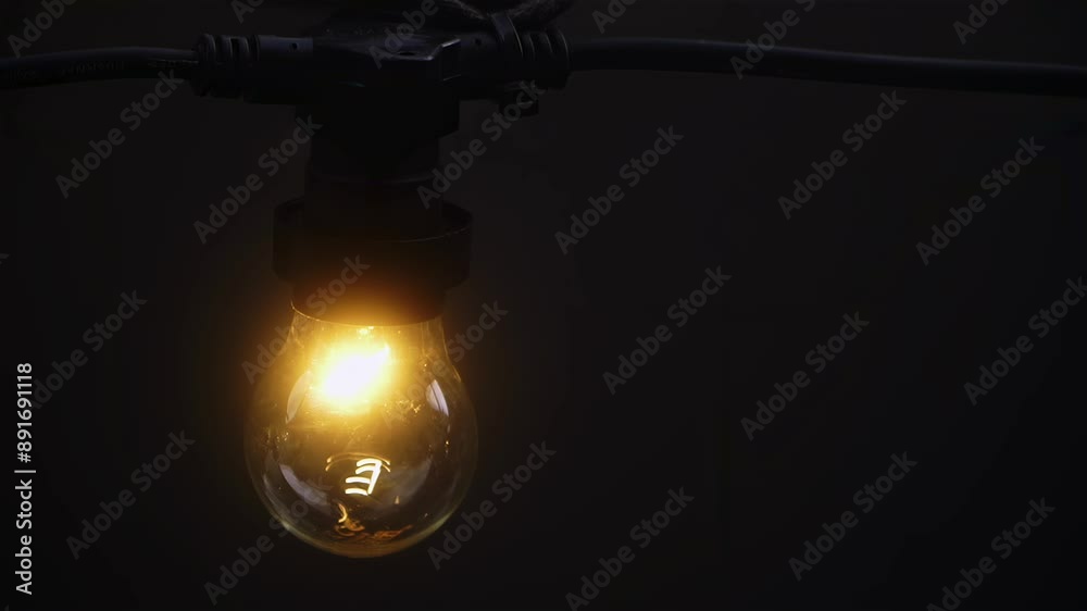 decorative incandescent lamp. wedding decor decorative incandescent lamp. wedding decor