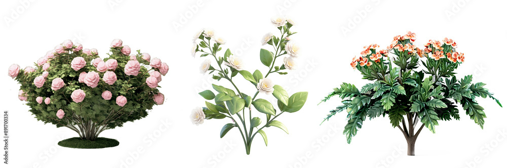 Obraz premium Collection 3d illustration of shrub with flowers isolated on white background