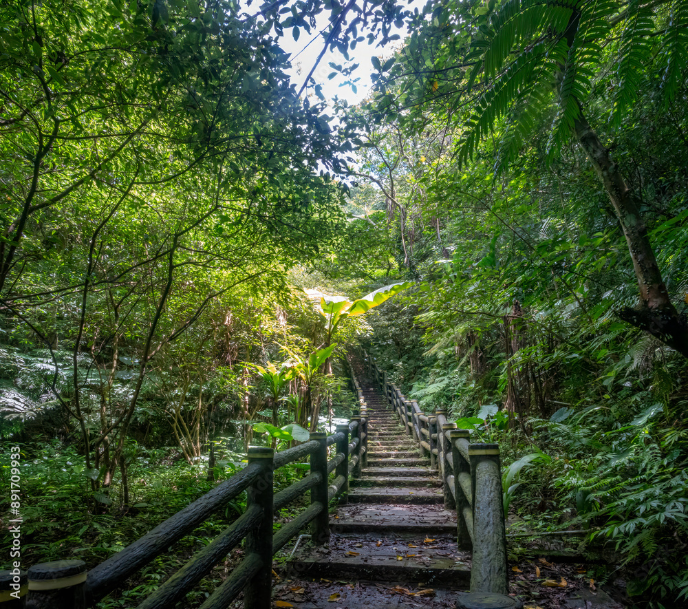 Obraz premium Hiking trails in the mountain forests surrounding Maokong, Wenshan District, Taipei, Taiwan