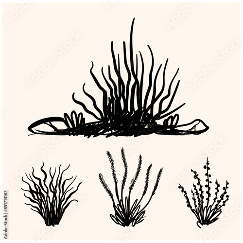 Shrub of various shapes, bush of grass With illustration style doodle and line art