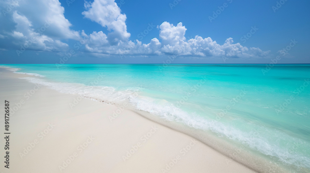 Fototapeta premium Tranquil beach with turquoise waters 