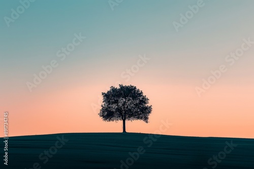 The beautiful silhouette of a solitary tree is set against a mesmerizing orange sky, blending natural beauty with a sense of calm and introspection.