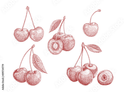 set of cherries and cherry