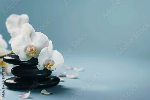 Delicate orchids on smooth black spa stones against a soft blue backdrop, with copy-space. Spa Aesthetics