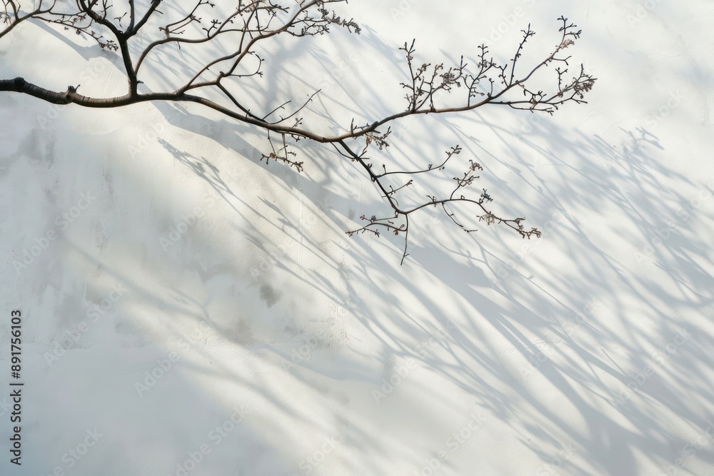 tree in snow tree in snow