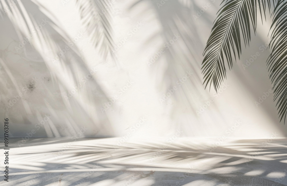 Abstract background with palm shadows on a white wall, concrete floor and sunlight. Simple summer scene for product presentation Abstract background with palm shadows on a white wall, concrete floor and sunlight. Simple summer scene for product presentation