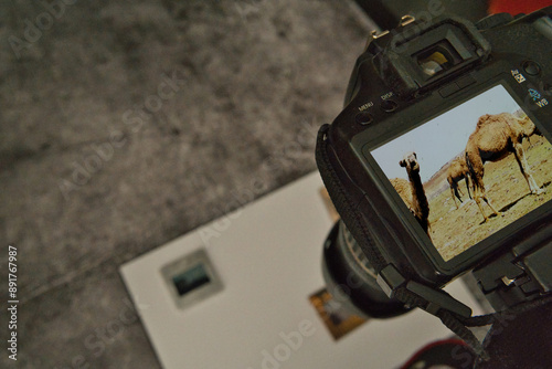 slides are digitized with a camera