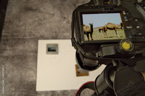 Photography from analog to digital