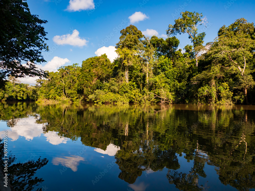 Obraz premium Amazonia