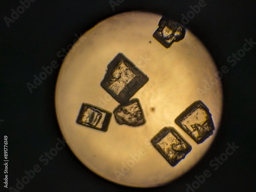 Photos Sugar Crystals Geometric Structure Examined Under Microscope Panel