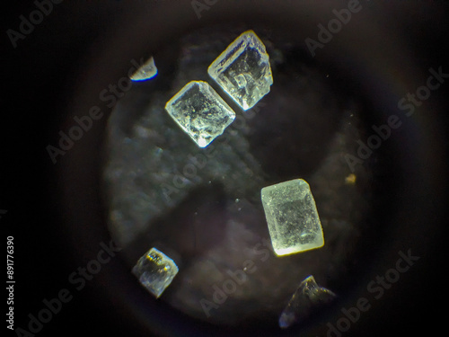 Foto Sugar Crystals Geometric Structure Examined Under Microscope Panel
