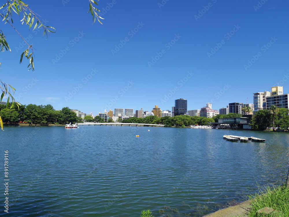 Fototapeta premium 大濠公園(福岡県福岡市)