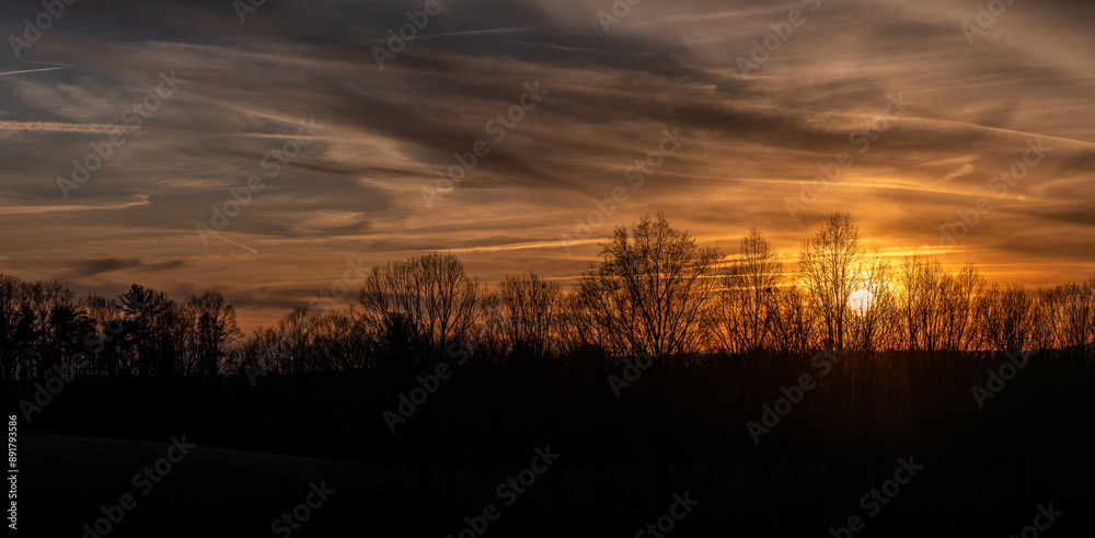 Fototapeta premium Bare Winter Trees Standing Silently as the Sun Sets Behind them