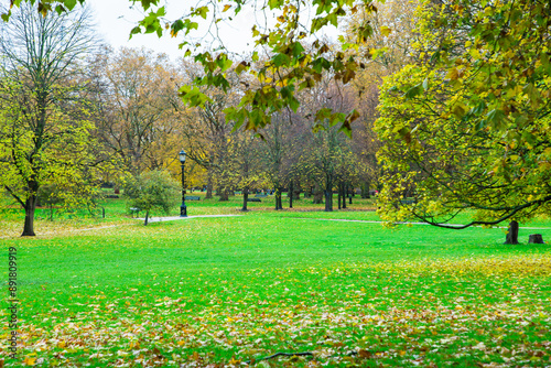 Fototapeta Naklejka Na Ścianę i Meble -  London, UK - Trees in a park in autumn