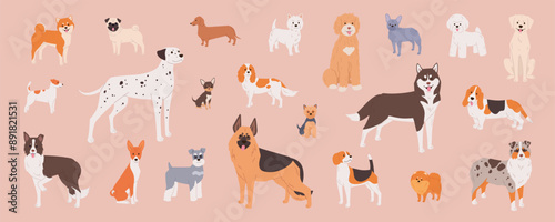 Dog breeds set. Cute flat illustration in cartoon style on pink background. Border collie, dachshund, french bulldog, labradoodle and other purebred pets in vector