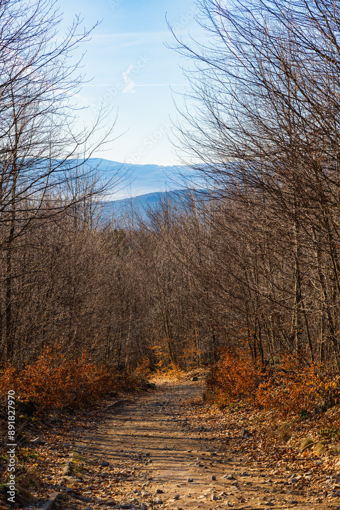 Fototapeta premium Long mountain trail at small massif with beautiful views around at morning