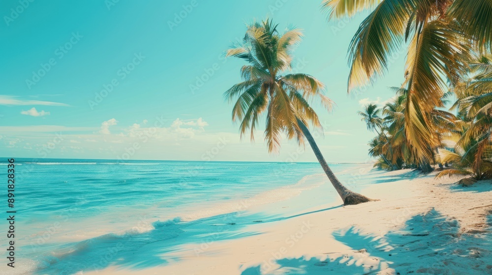 Tropical Paradise Beach Tropical Paradise Beach