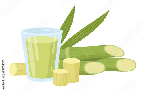 Sugarcane products. Liquid sugar cane syrup and sugarcane sprouts, sugarcane stems with green leaves flat vector illustration. Cartoon natural cane products
