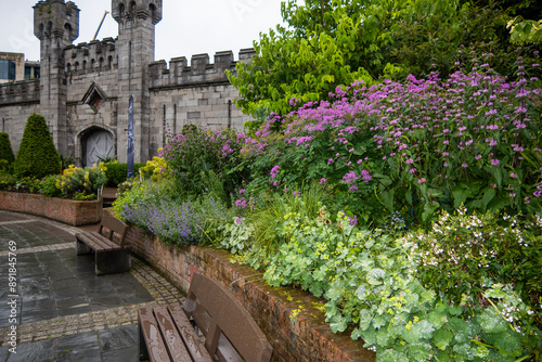 Photography The Dublin Castle Public Gardens looking at the public displays with plants and