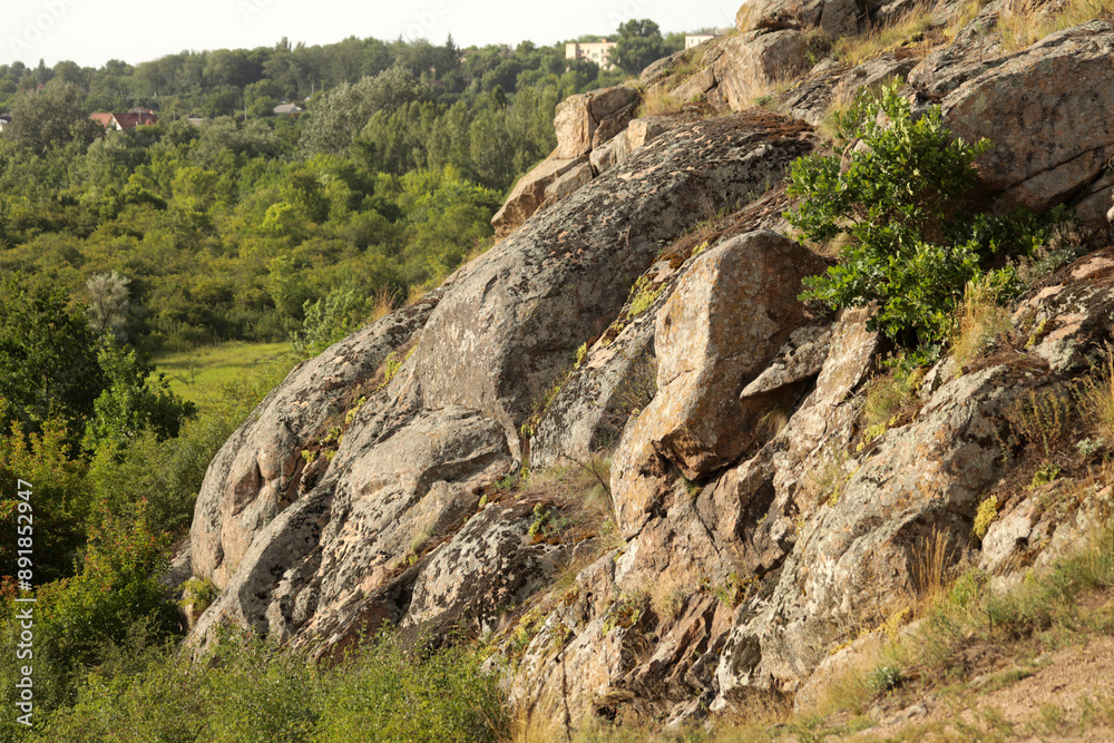 Fototapeta premium Summer landscape with rocks and trees