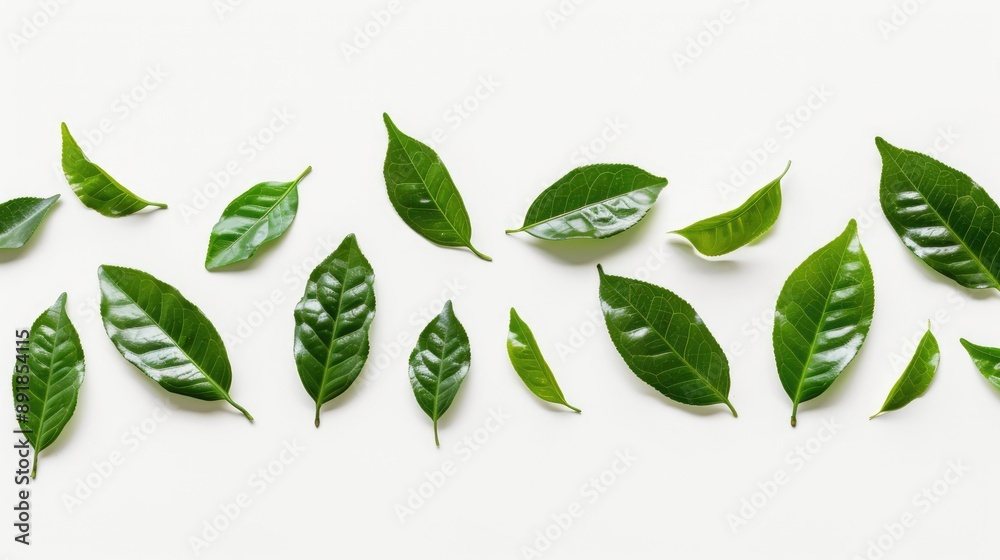 Tea leaves arranged on white background with space for messages