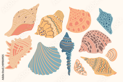Hand drawn illustration under the water life. Set of sea shells. Mollusk different forms. Orange, Blue, Pink, gray