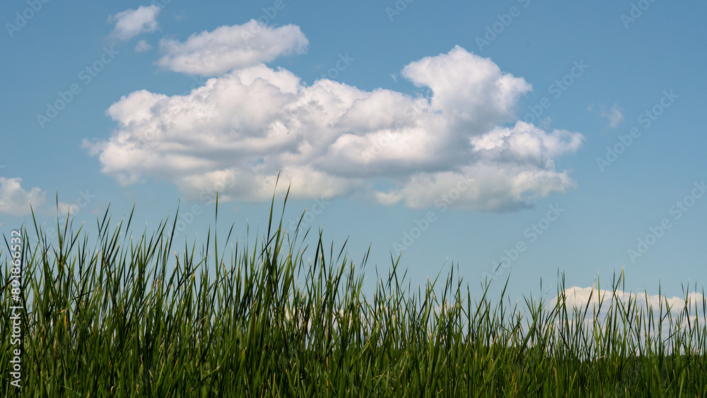 Wolke überm Vilzsee Wolke überm Vilzsee