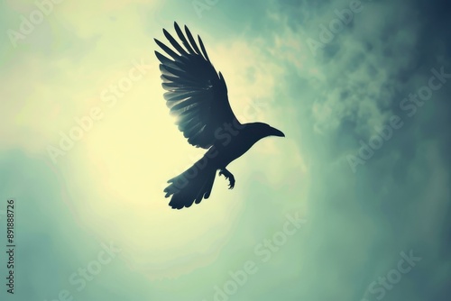 A black bird with its wings spread out is flying in the sky