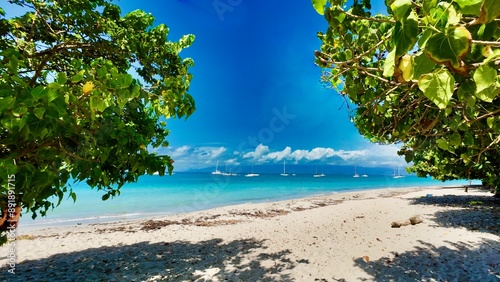Pllage tropicale du gosier guadeloupe