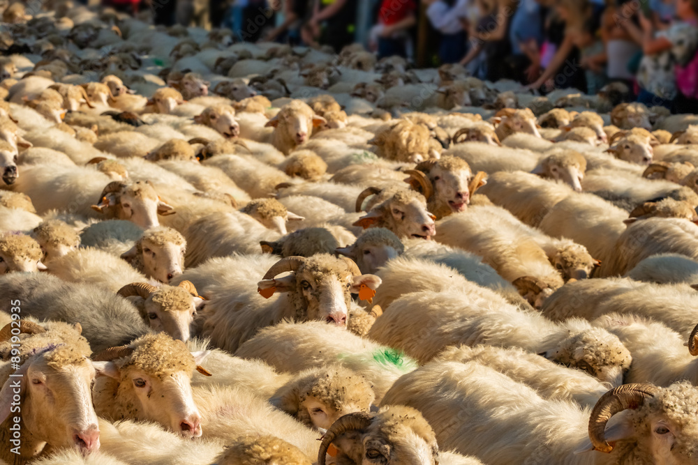 Traditional Redyk day celebration in Southern Poland