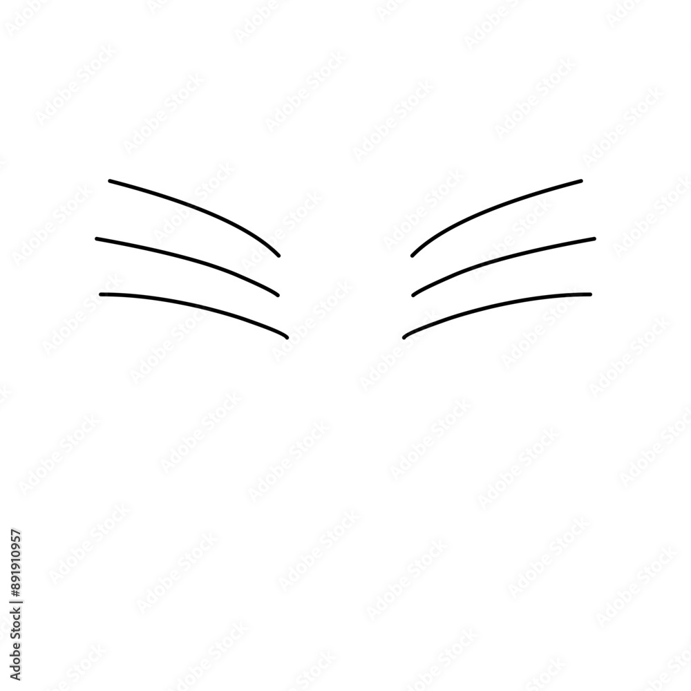 cat whiskers cat whiskers