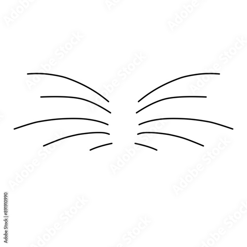 cat whiskers