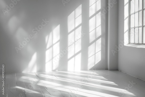 natural light rays casting window shadows on white wall