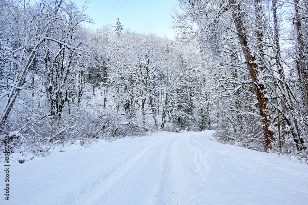Obraz premium Tire Tracks and Footprints in Fresh Snow