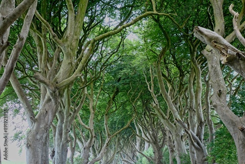 Photography Taking a day trip from Dublin to the Northern Ireland coast and Giant's Causeway