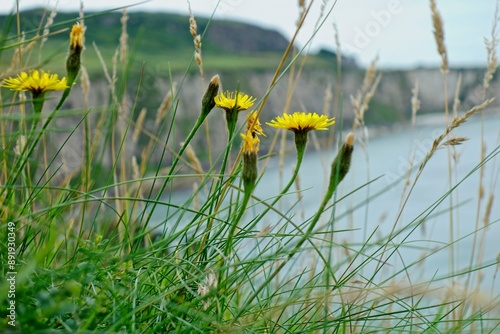 Photography Taking a day trip from Dublin to the Northern Ireland coast and Giant's Causeway