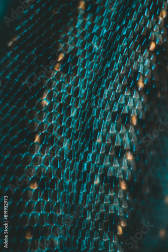 lizard skin