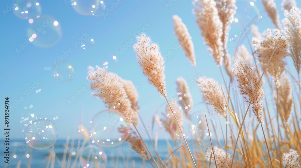 Bubbles drifting in clear sky above bunny tail grasses with ocean backdrop Bubbles drifting in clear sky above bunny tail grasses with ocean backdrop