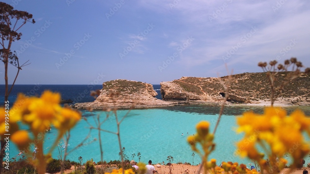 Blue lagoon, revealing shot from behind yellow flowers. High quality photo Blue lagoon, revealing shot from behind yellow flowers. High quality photo