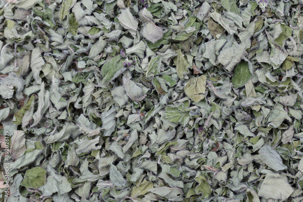 green dried oregano herb leaves background green dried oregano herb leaves background