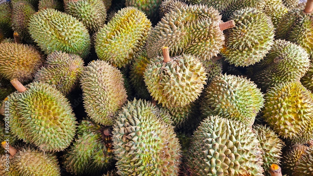 Durians king of fruit background for sale in fruit shop market. Durians king of fruit background for sale in fruit shop market.